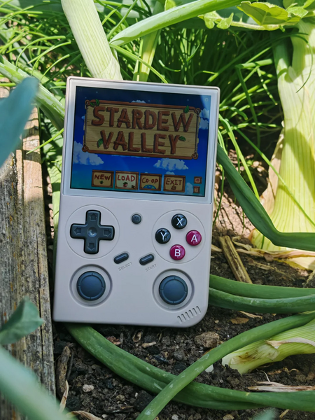 File:Playing-stardew-valley-in-my-vegetable-garden-v0-nqv5etbd437f1.webp