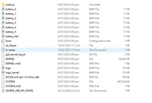 BOOT partition of one of the R36S EmuELEC clones